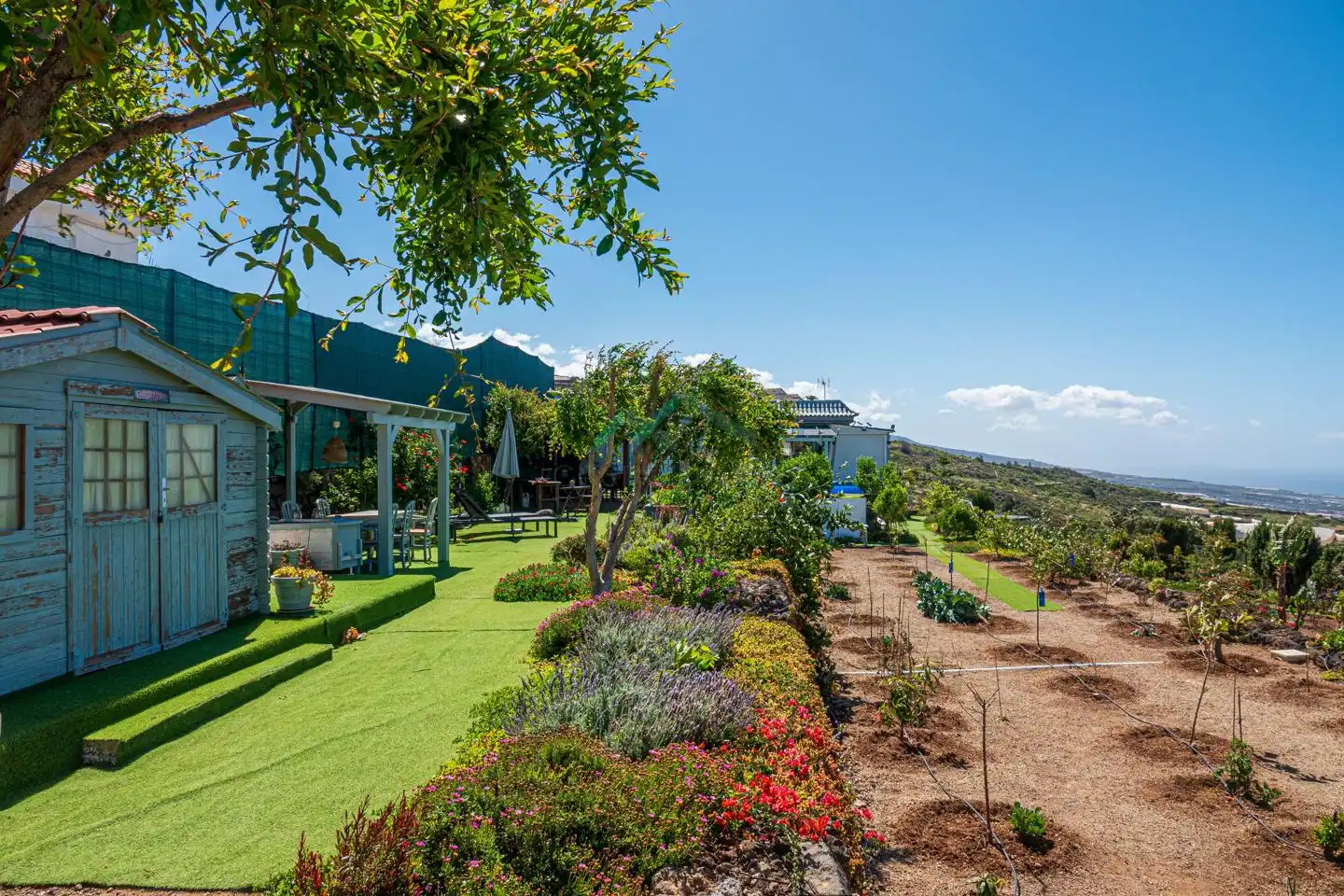 Garden of Country homes for sale in Guía de Isora