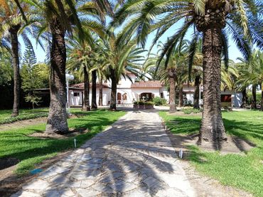 Villa avec piscine à vendre à Carretera ANTIGUA CARRETERA EL BOSQUE-UBRIQUE