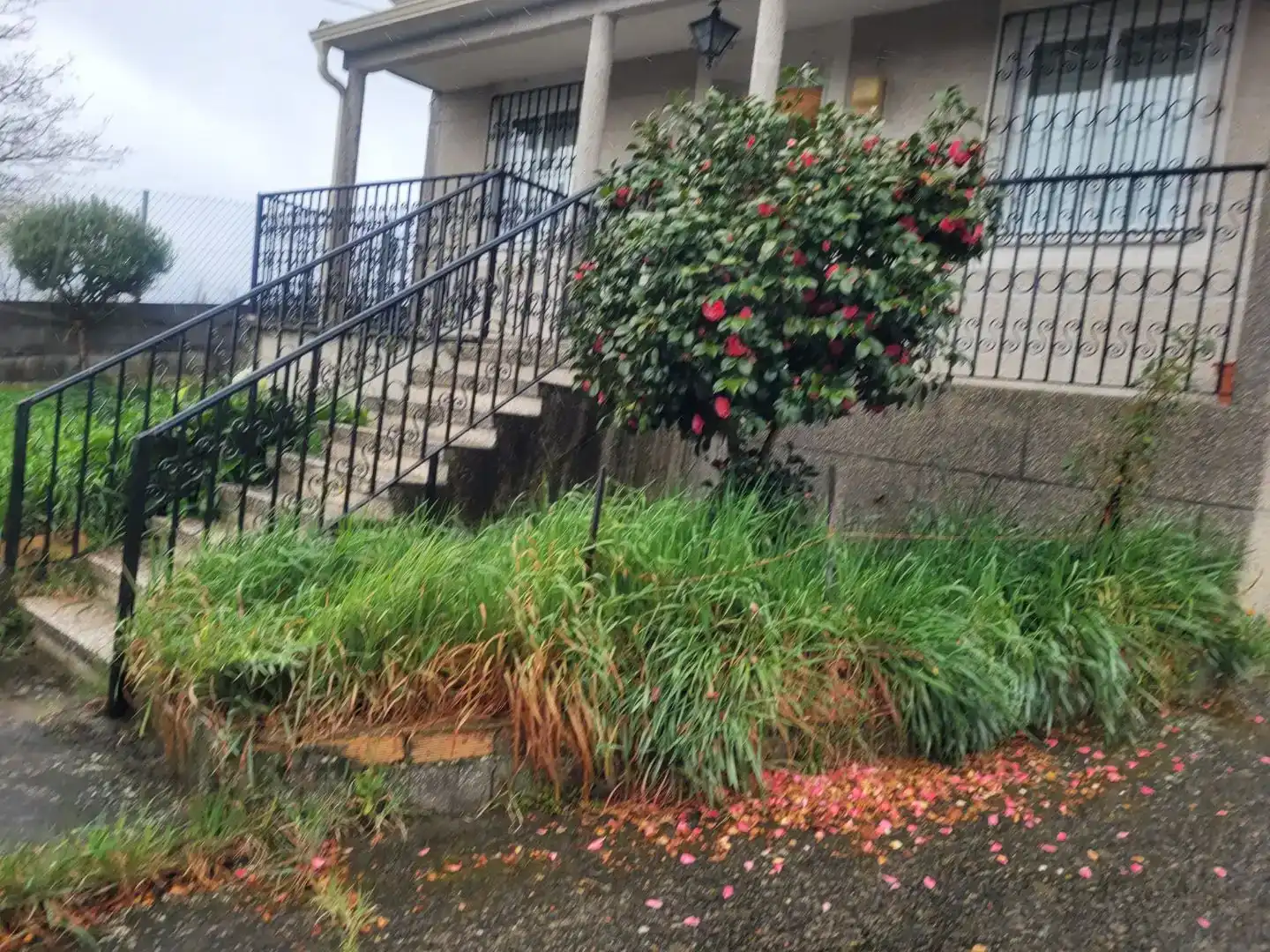 Vista exterior de Casa o chalet en venta en Sarreaus con Jardín privado, Amueblado y Balcón