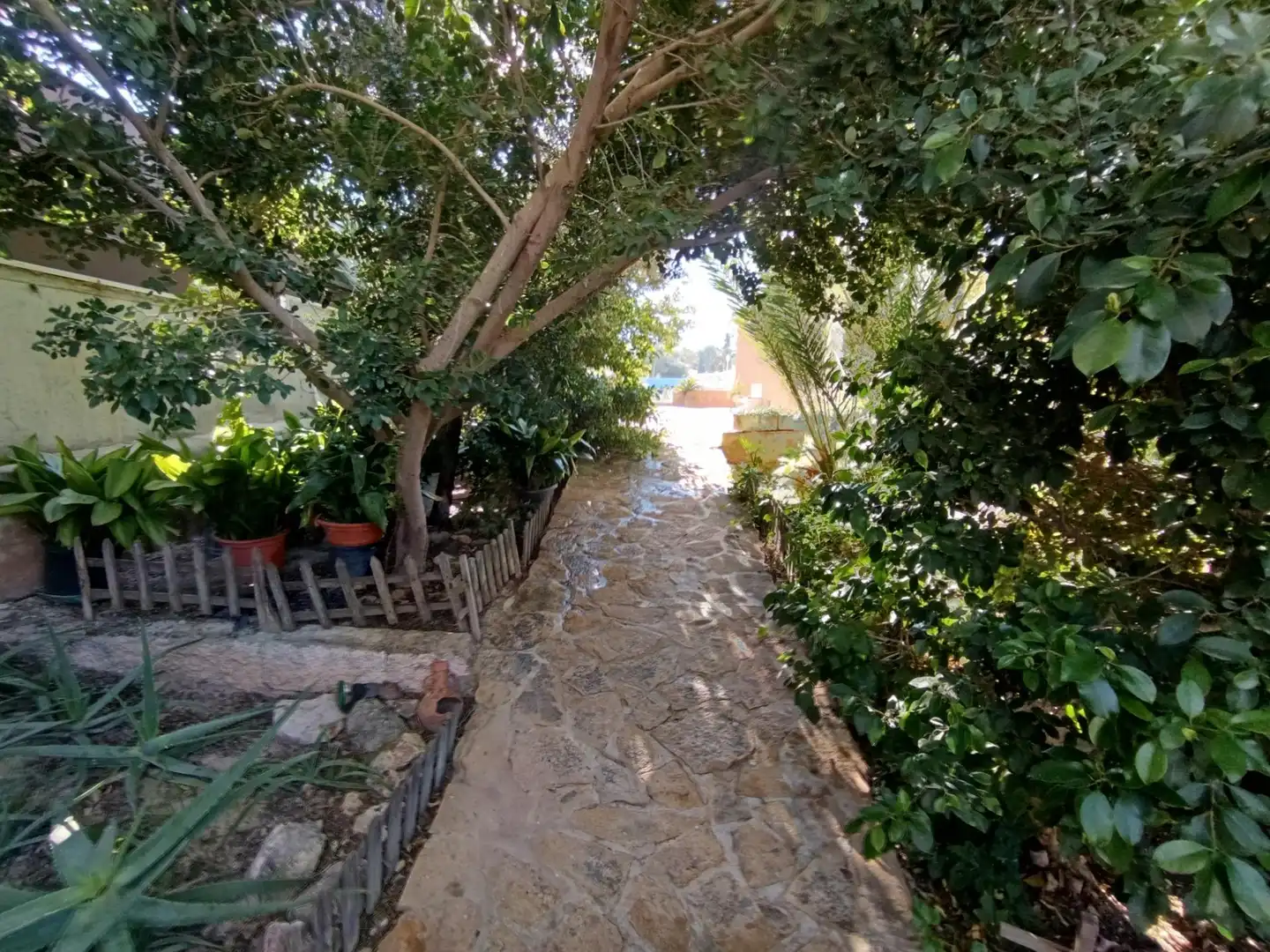 Exterior view of Houses for sale in Molina de Segura  with Air Conditioner, Heating and Private garden