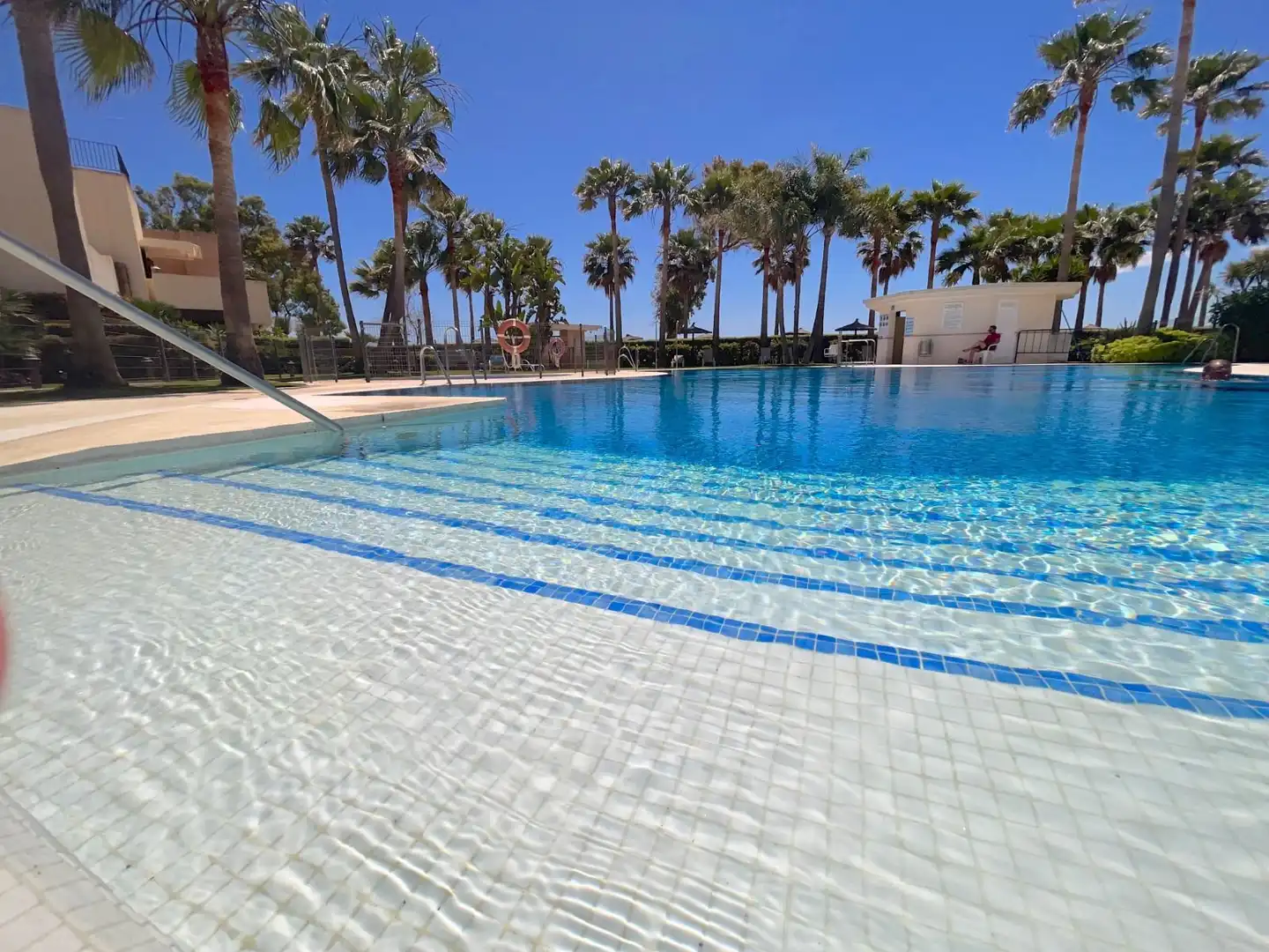 Piscina de Apartamento de alquiler en Estepona con Terraza, Amueblado y Internet