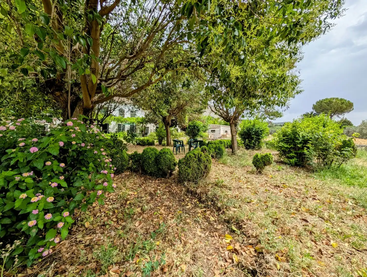 Jardí de Casa o xalet en venda en Loja amb Aire condicionat, Calefacció i Jardí privat