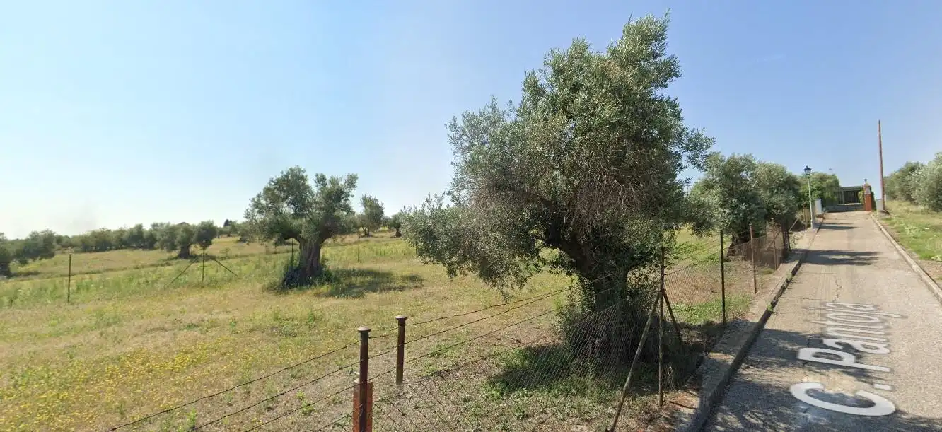 Lands and plots for sale in Pantoja, imagen 3