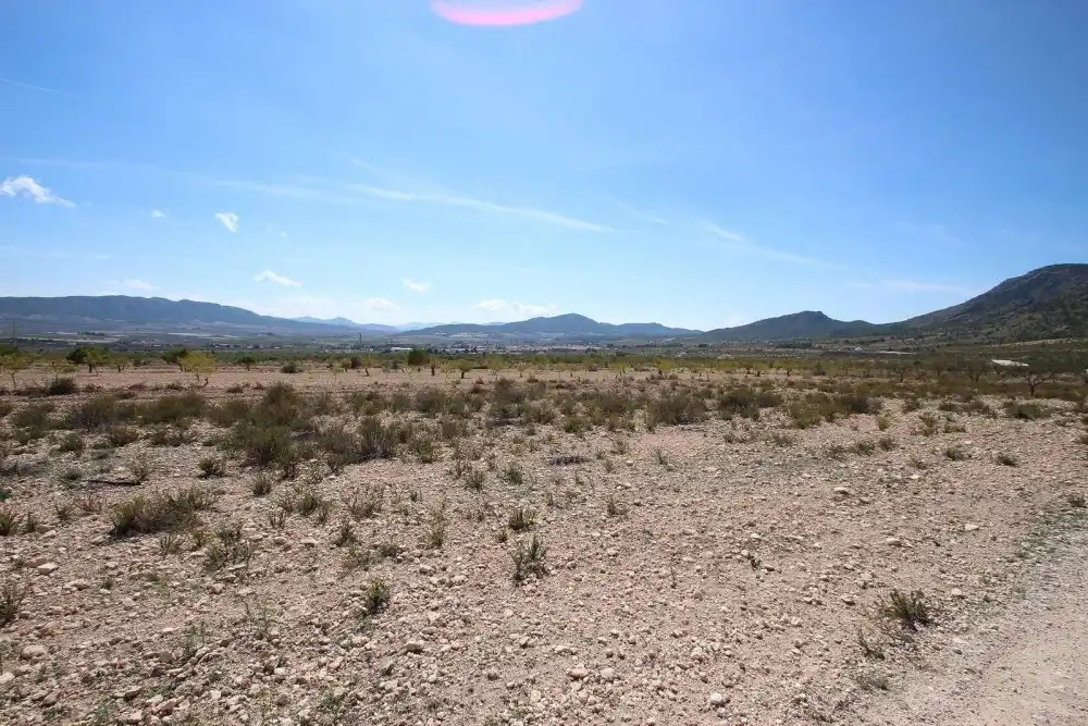 Terreny residencial en venda a Jumilla
