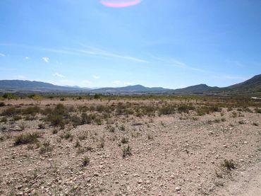 Terreny residencial en venda a Jumilla