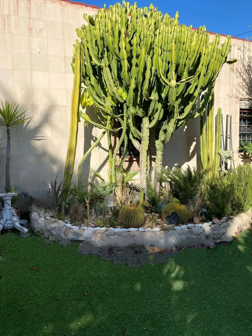 Jardín de Casa o chalet en venta en Murcia con Aire acondicionado, Jardín privado y Terraza