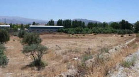 SUELO SECTOR 8 PAGO DEL CHACÓN ALHENDIN, imatge 2