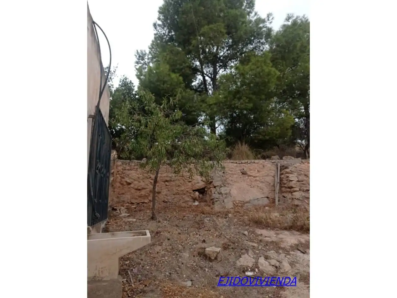 Terreno rústico en venta en El Ejido Ciudad, imagen 19
