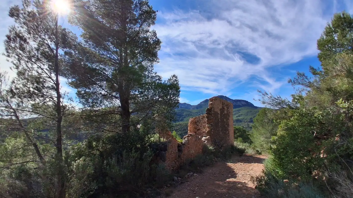 Vista exterior de Terreno en venta en Pratdip