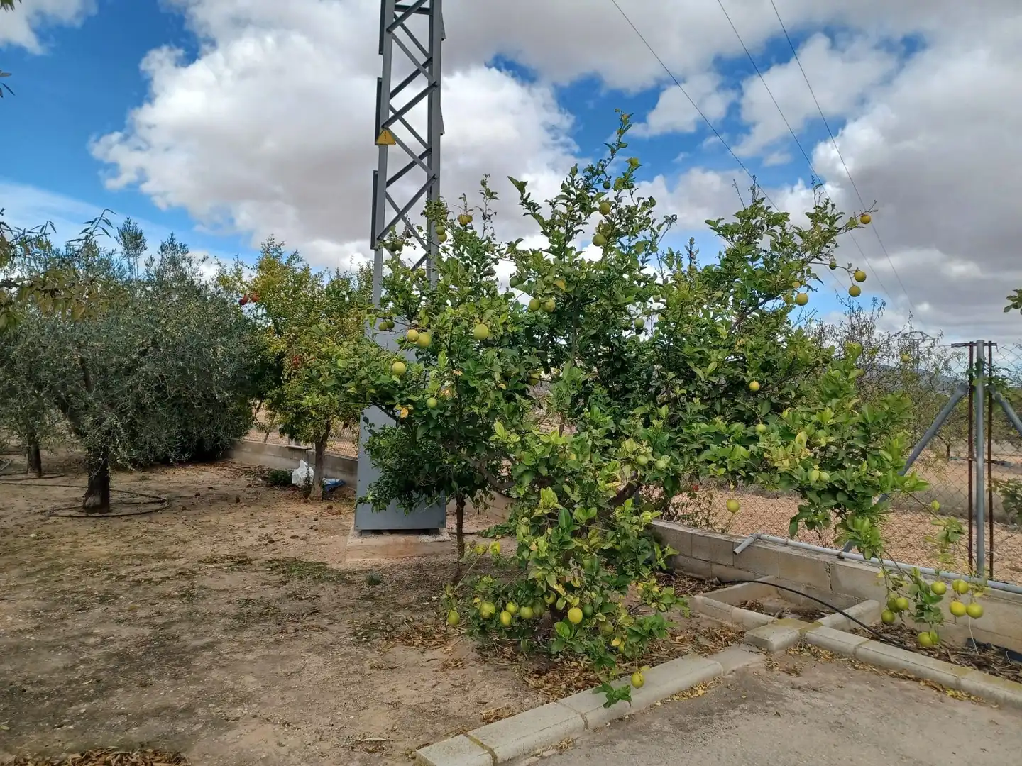 Casa rústica en venta en Monóvar  / Monòver, imagen 10