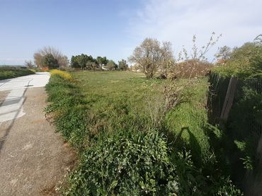 Terrain résidentiel à vendre à El Perdigón