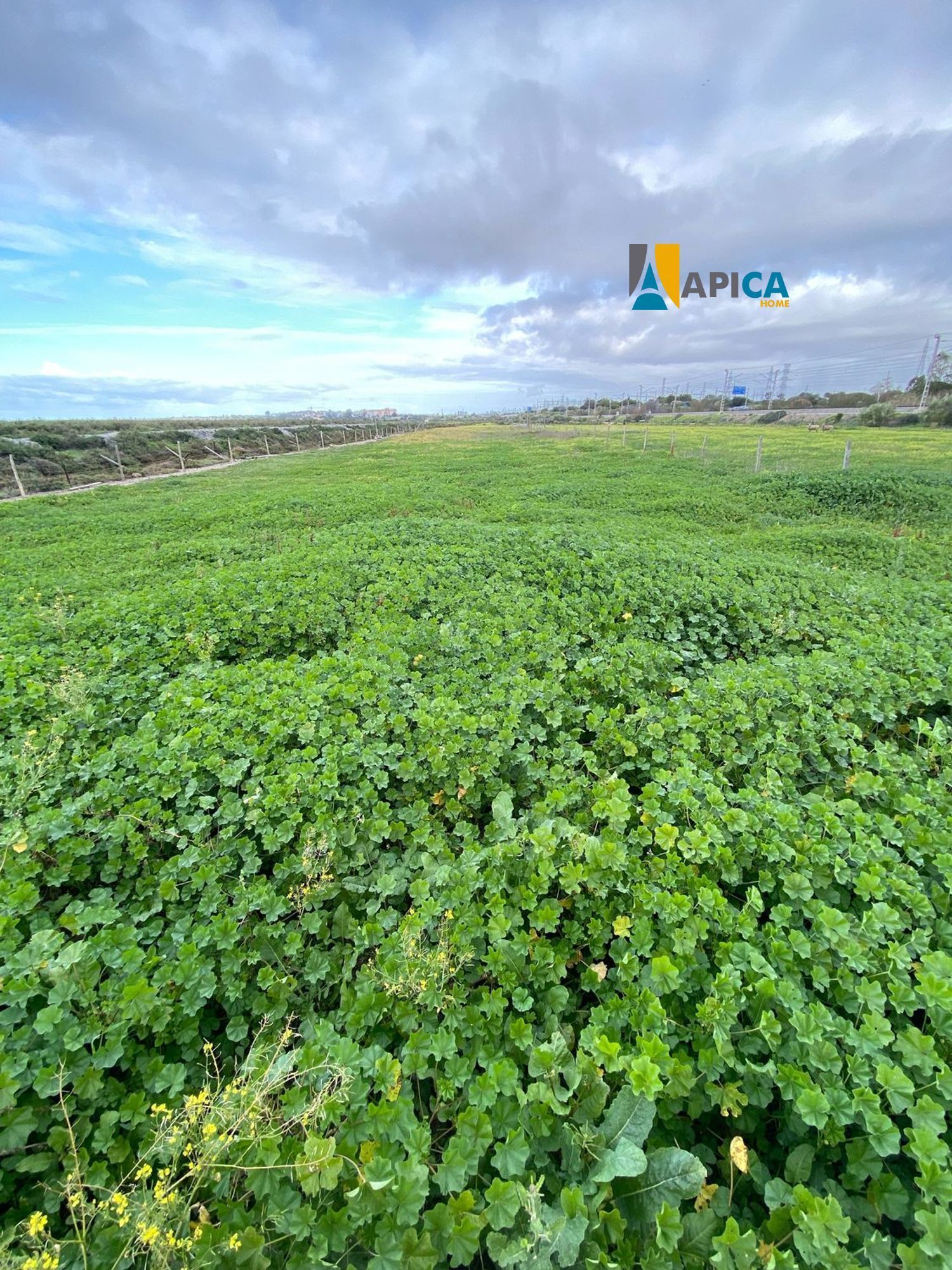 Casa o xalet en venda en Puerto Real