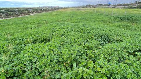 Foto 2 de Casa o xalet en venda a Villanueva Golf, Puerto Real