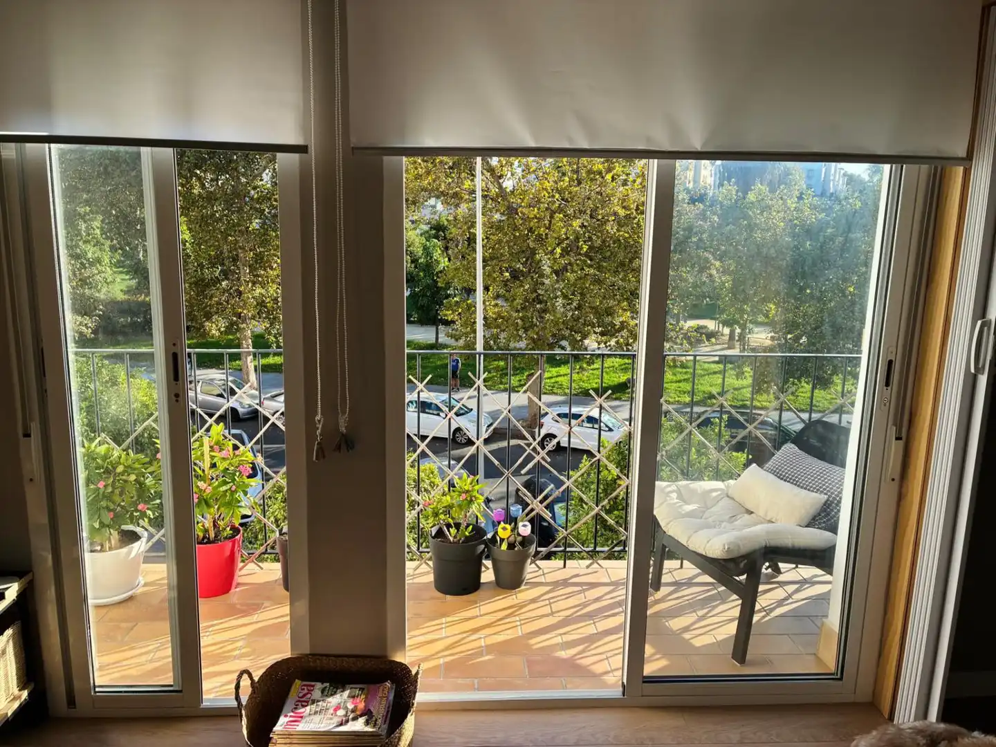 Appartement avec terrasse à vendre à Isla Chica, imagen 5