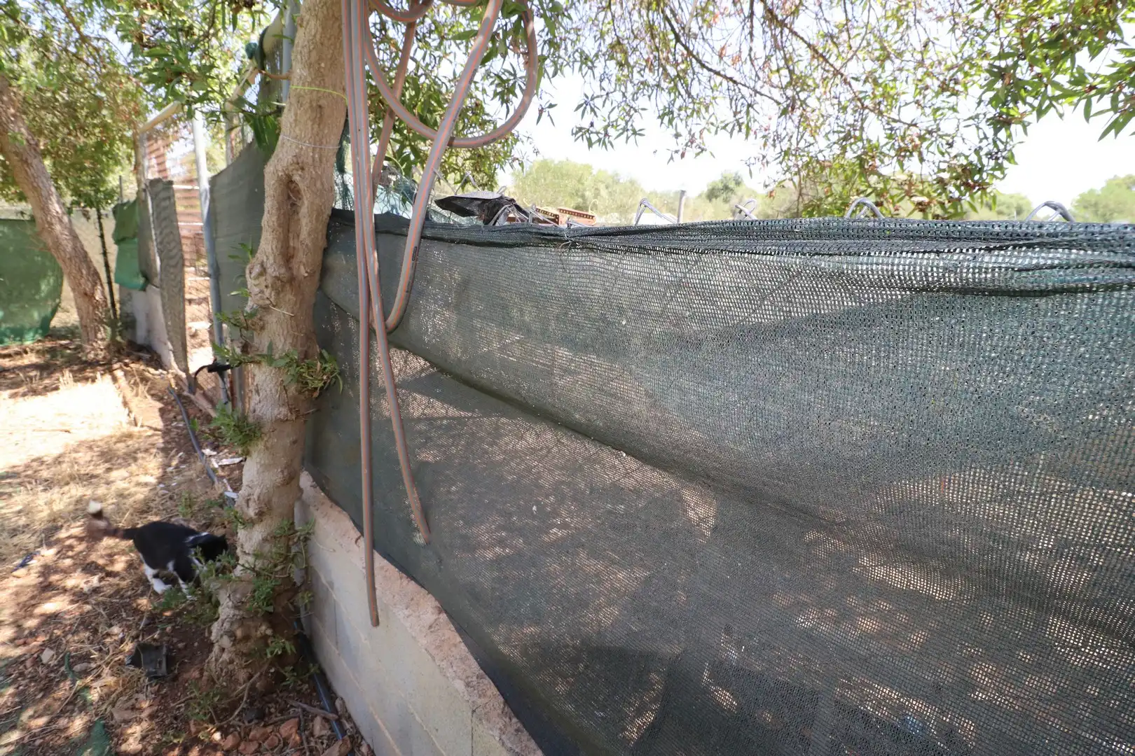 Jardín de Finca rústica en venta en Llucmajor con Calefacción, Trastero y Piscina