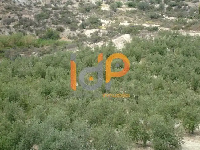 Terrenys i solars en venda a Huércal-Overa, imagen 8