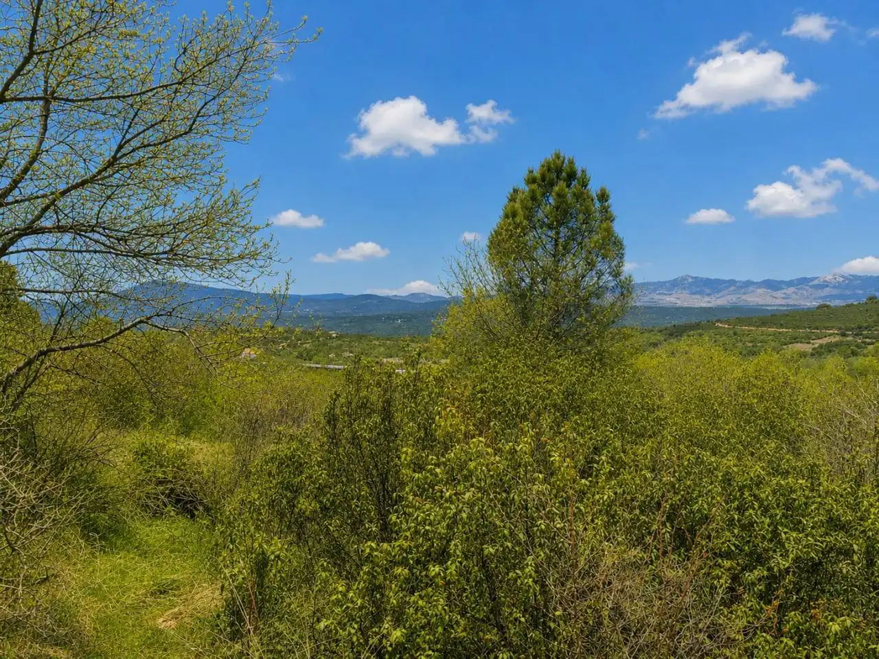Casa o chalet en venta en Berzosa del Lozoya con Calefacción, Jardín privado y Terraza