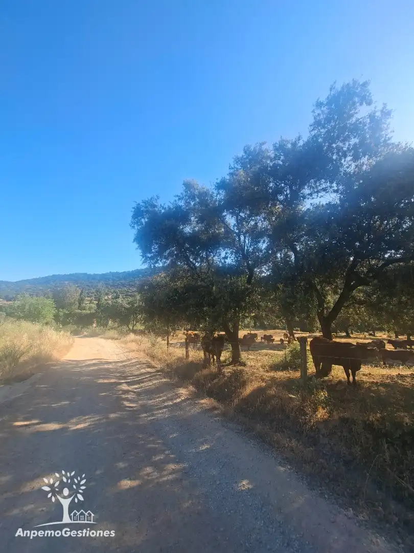 Exterior view of Land for sale in Las Navas de la Concepción