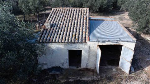 Finca rustica con blasa, agua de fuente y no luz., imatge 4