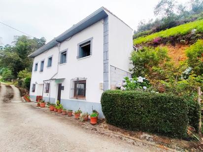 Exterior view of Country house for sale in Pravia  with Heating, Terrace and Storage room