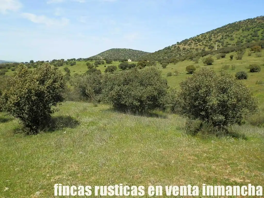 Rural land for sale in Calzada de Calatrava, imagen 8