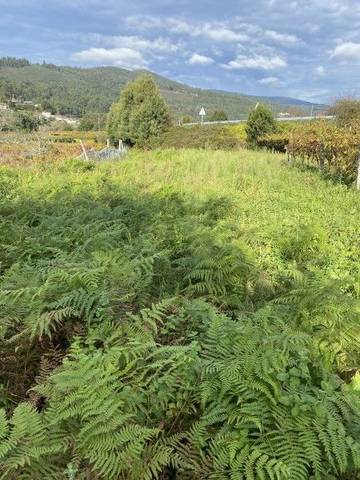 Terreno residencial en Venta en Arbo