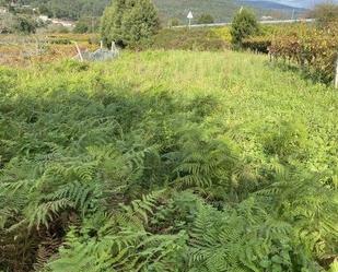 Residential for sale in Arbo