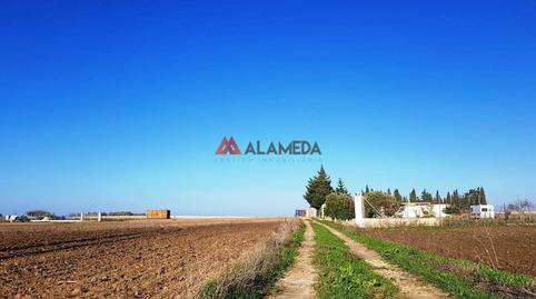 Photo 4 of Residential for sale in Los Franceses – La Vega, Chiclana de la Frontera
