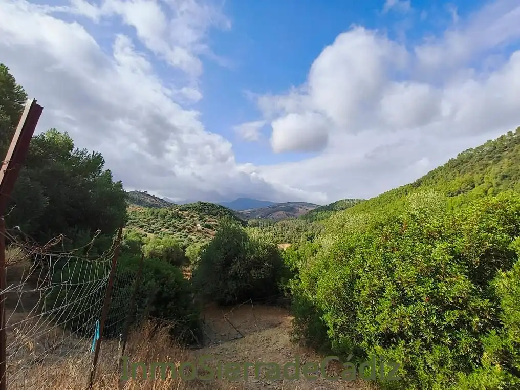 Finca rústica en venda en Algodonales
