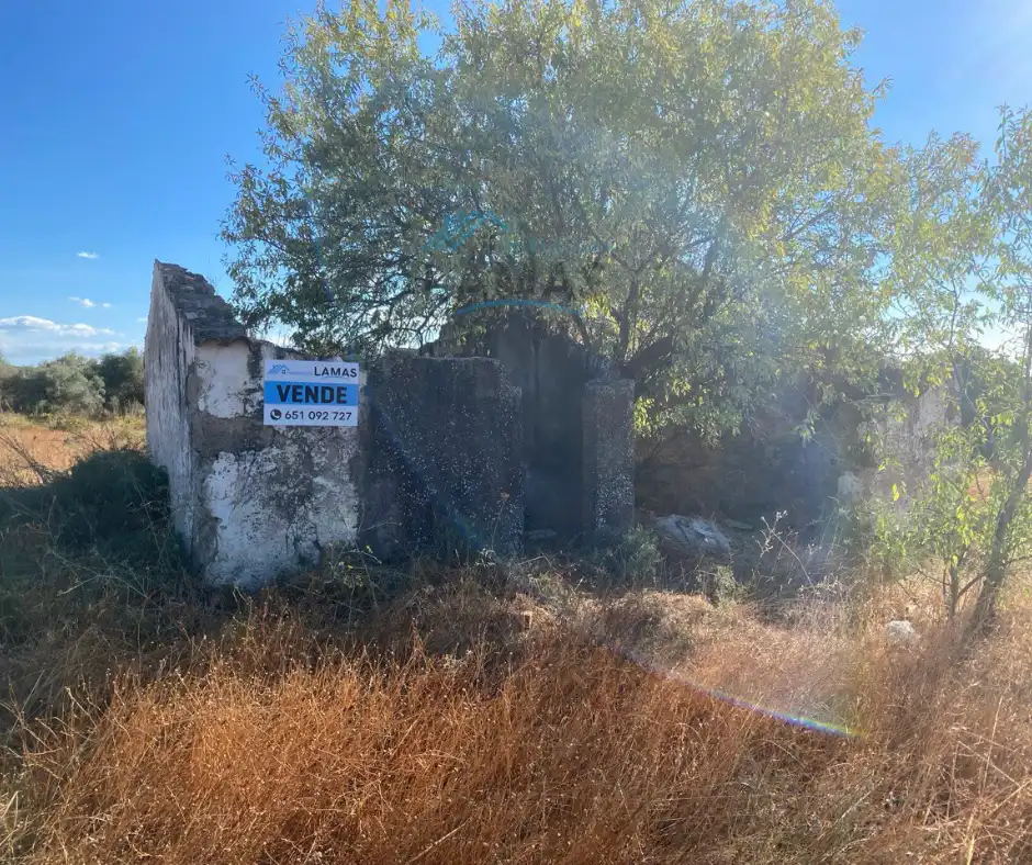Terreni e lotti in vendita a Saucedilla, imagen 5