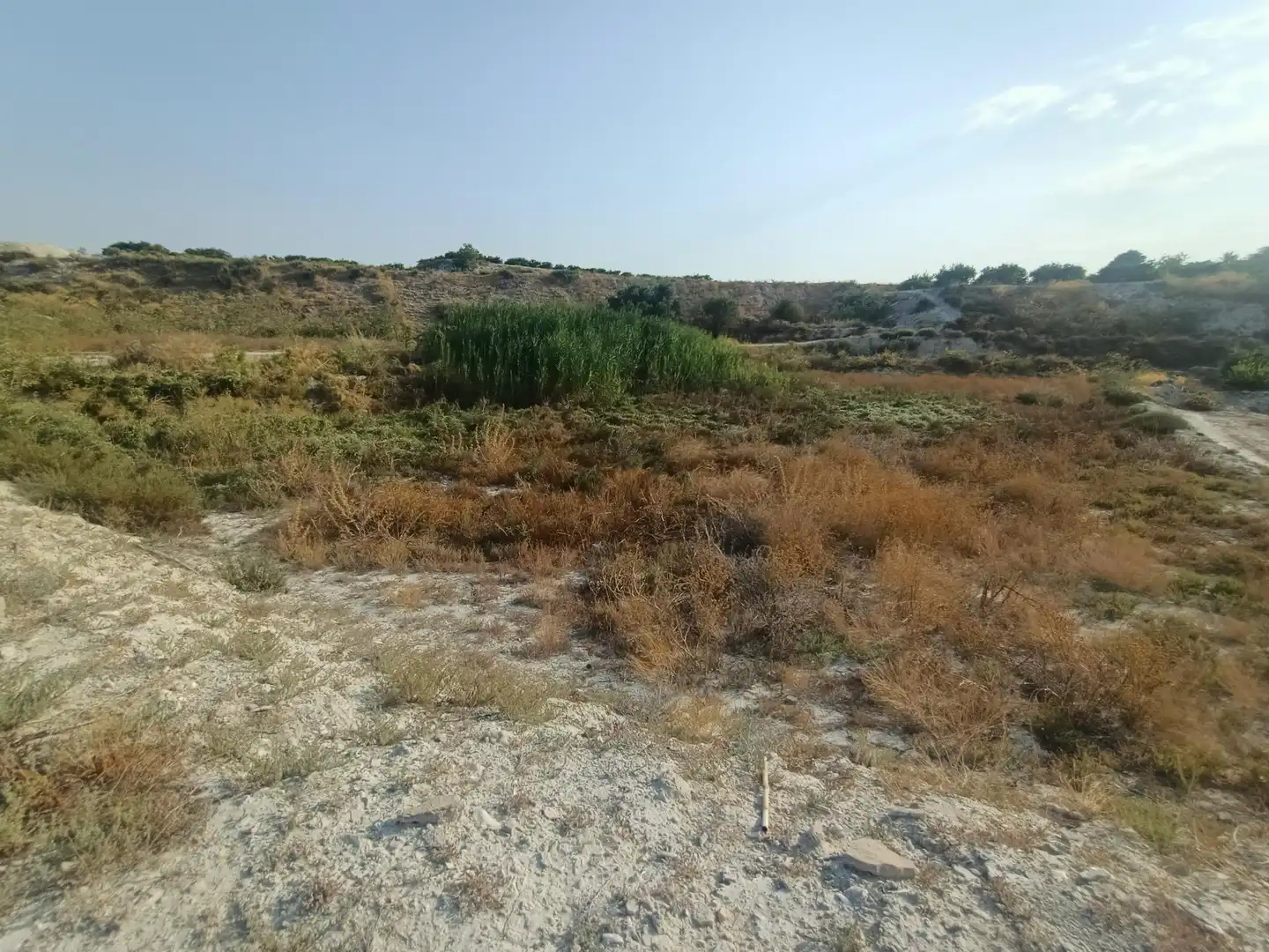 Terreny residencial en venda a Alguazas, imagen 2