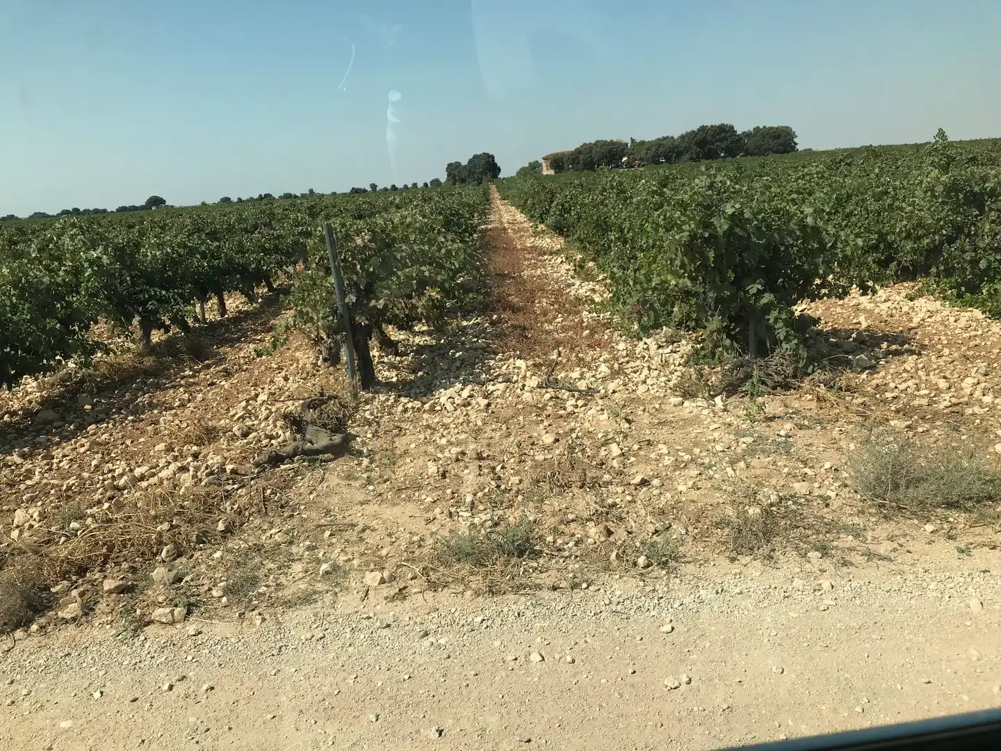 Terreni e lotti in vendita a Las Mesas, imagen 21