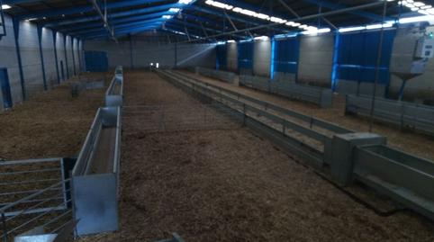 Foto 3 de Finca rústica en venda a Fuente el Fresno, Ciudad Real