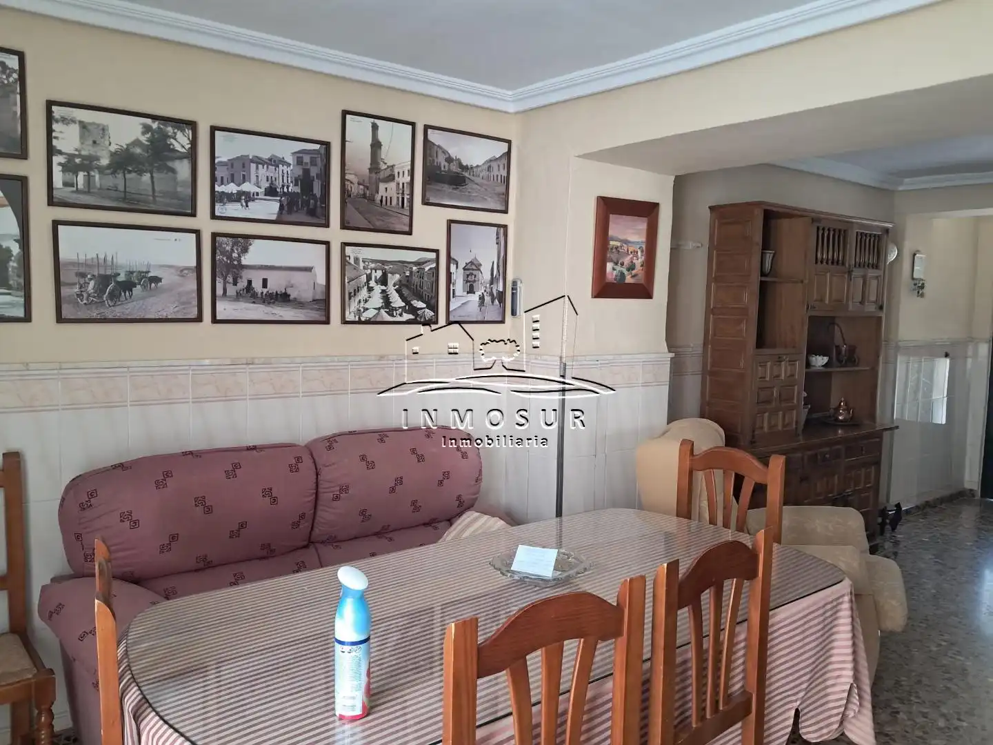 Sala d'estar de Casa adosada en venda en Lucena amb Terrassa