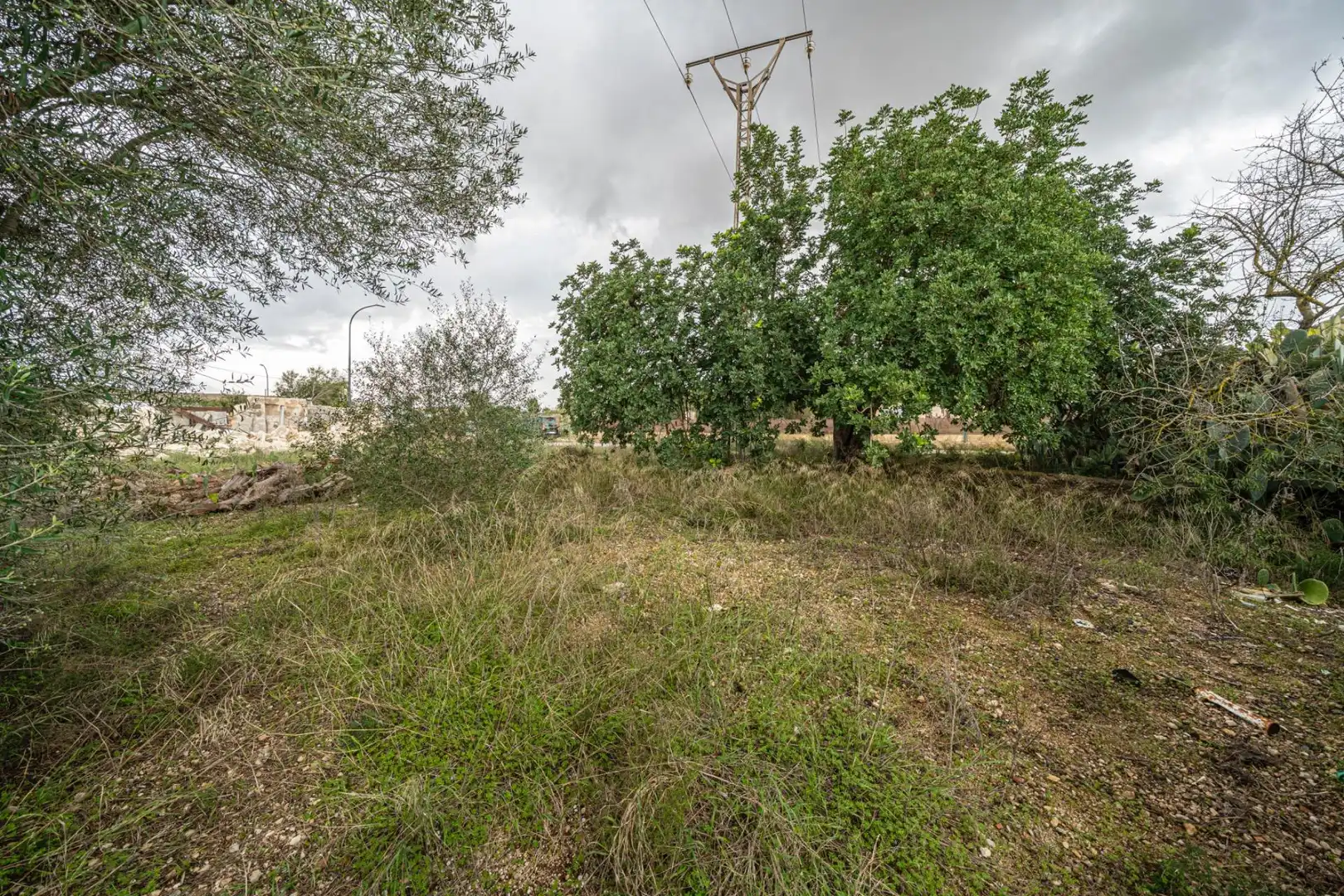 Rural land for sale in Felanitx Poble, imagen 9
