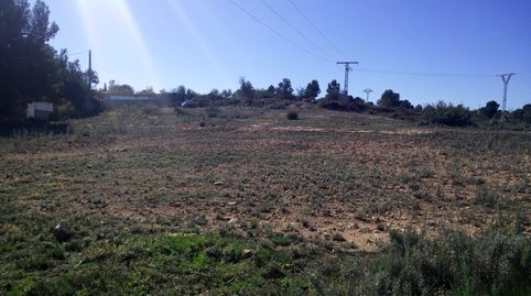 TERRENO RUSTICO SECANO TURIS VALLADO, immagine 2