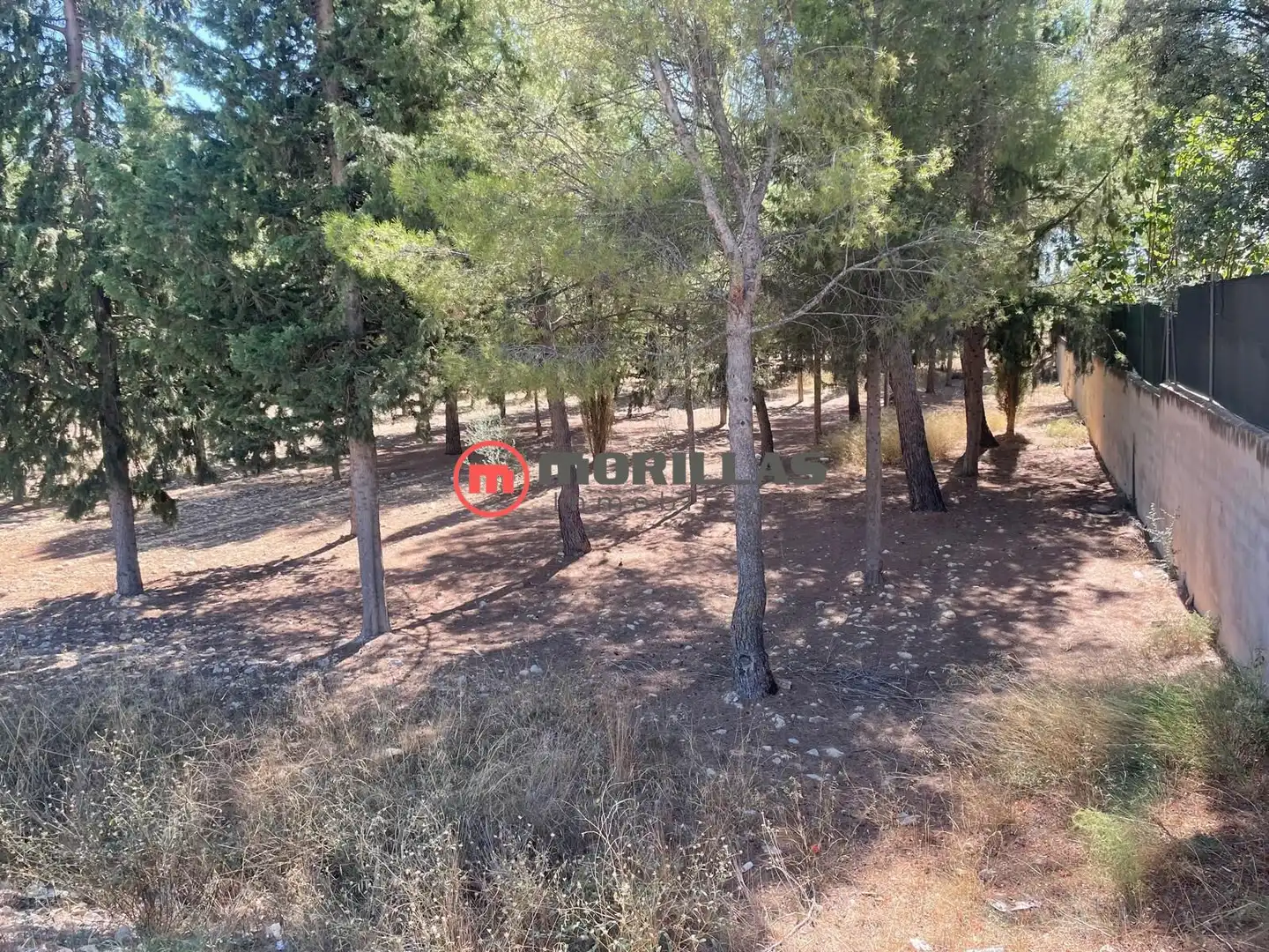 Residential land for sale in Caravaca de la Cruz, imagen 6