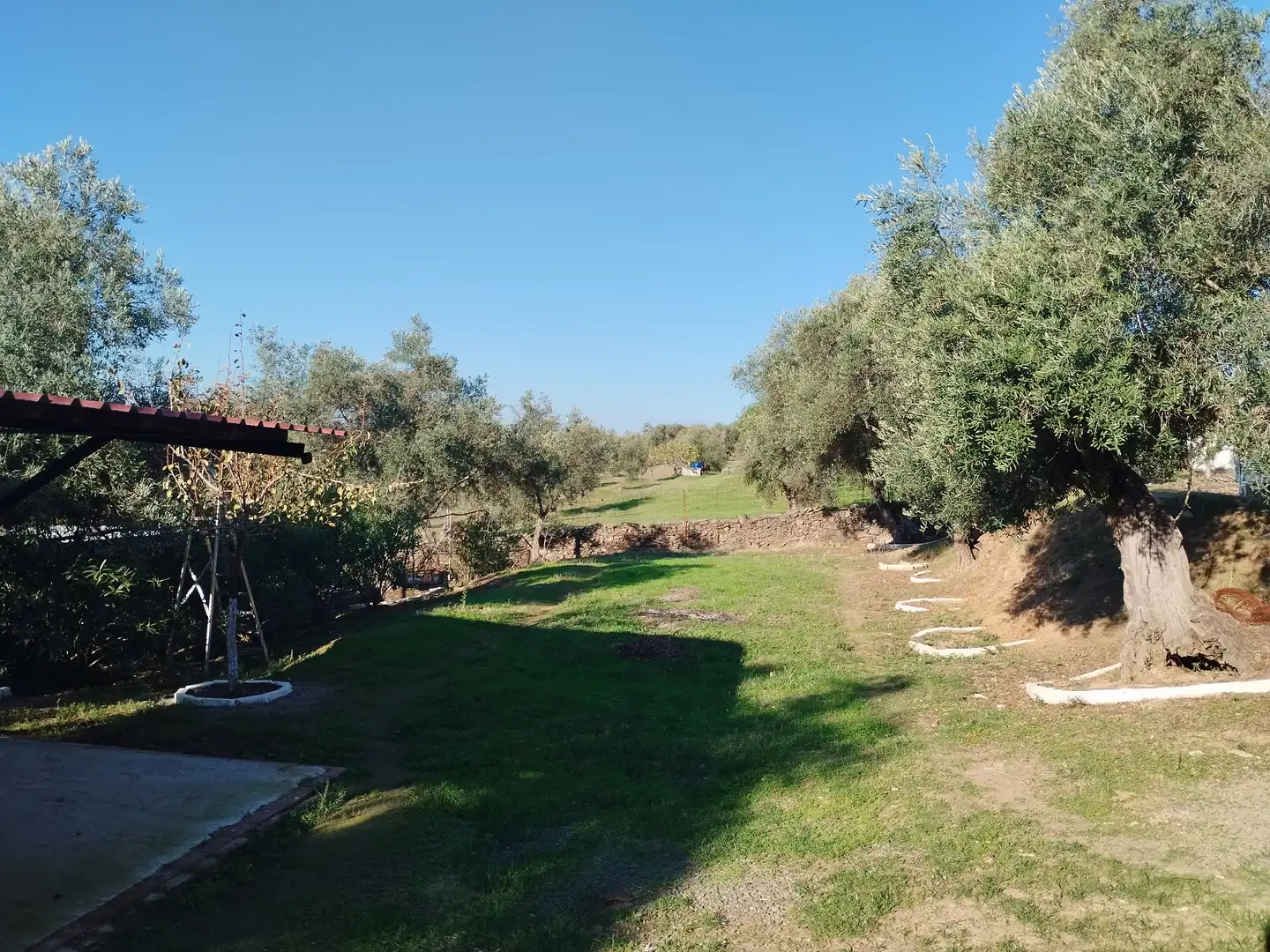 Casa rústica amb jardí en venda a Jerez de los Caballeros, imagen 9