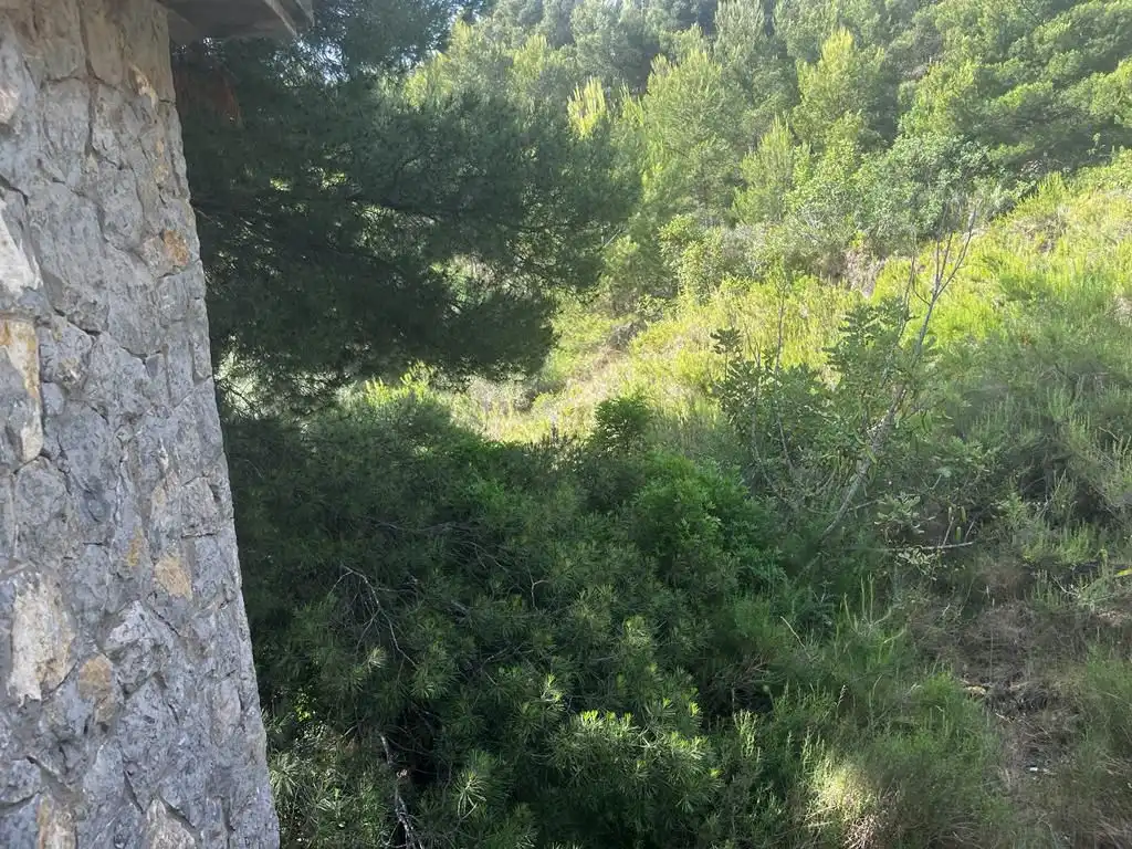 Casa o xalet en venda en Castellón de la Plana / Castelló de la Plana amb Terrassa