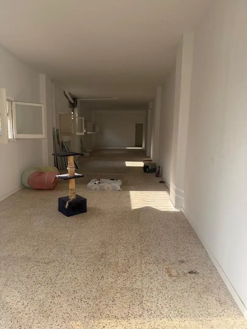 Lofts for sale in Sant Jaume d'Enveja