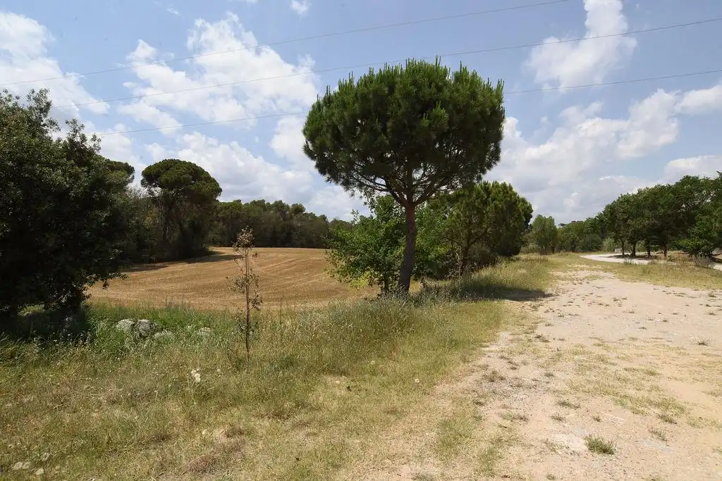 Terreno rústico en venta en Lliçà de Vall, imagen 6