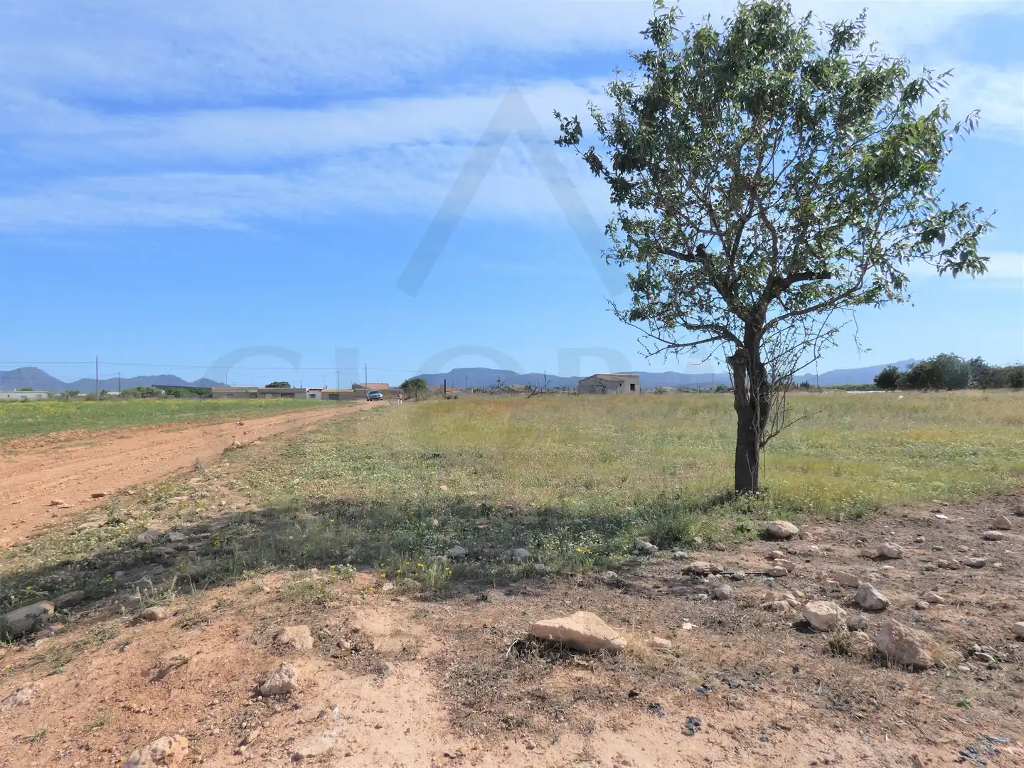 Terreni e lotti in vendita a Pedanías Oeste, imagen 8