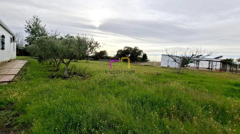 Foto 5 de Finca rústica en venda a Carretera de Sevilla - Los Montitos, Badajoz Capital