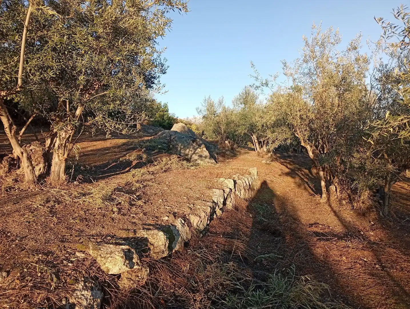 Terreni e lotti in vendita a Villanueva de la Vera, imagen 55