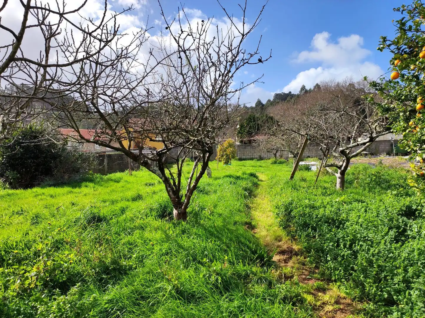 Villa avec jardin à vendre à Tarrio, imagen 5