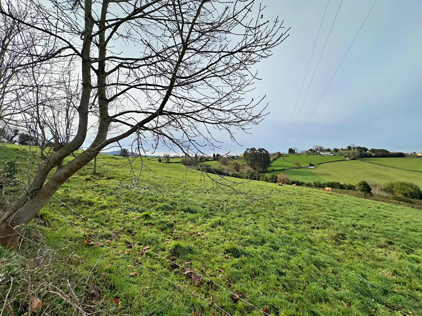 Terreno residenziale in vendita a Rural, imagen 15