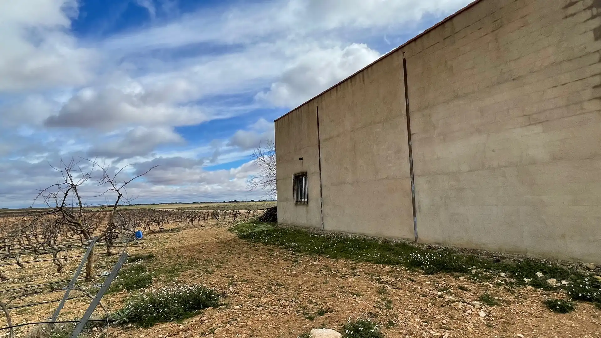 Terreny rústic en venda a Tarazona de la Mancha, imagen 12