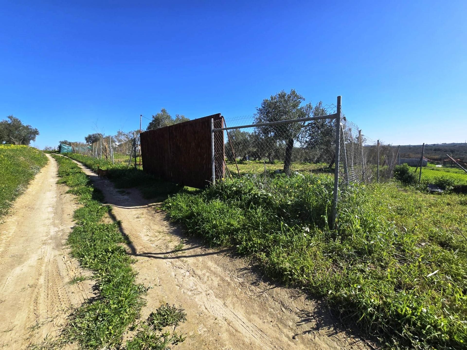 Land for sale in Bormujos