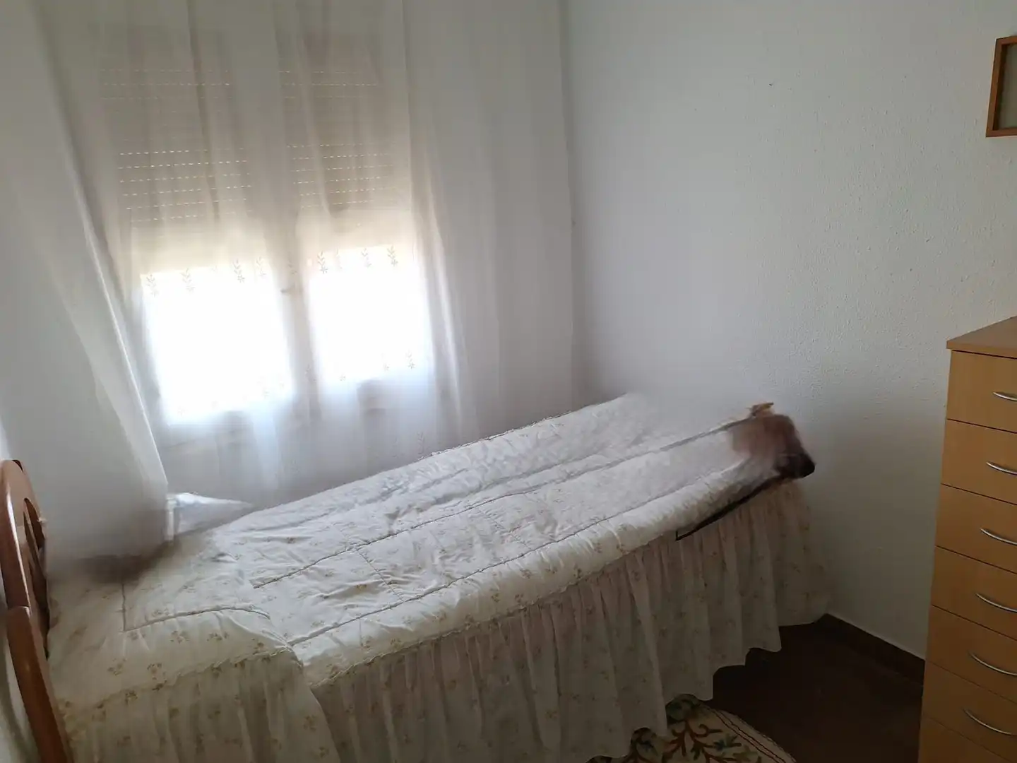 Piso en venta en Calle de Miguel Jiménez Reyes, Pla de Bon Repós