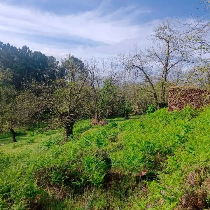 Casa rústica en venda a Aracena, imagen 11